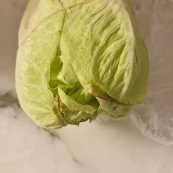 Carrefour Siparişimde Çürük Marul Ve Buruk Angelina Erikleri Şikayetim
