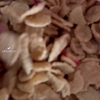 Bayat Kellogg's