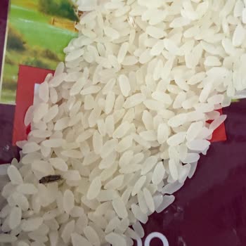 Bursa Kestel Şubesinde Duru Pirinçinde Ölmüş Böcek Ve Kurt Bulunması