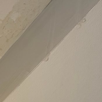 Nef İnşaat Üst Kat Balkon Sızıntısı Nedeniyle Sürekli Su Girişi Ve Yönetimin Çözüm Eksikliği