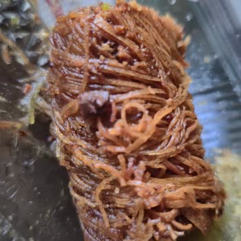 Gazi Burma Ü*** Şubesinde Yüksek Fiyatlı Kadayıfta Yanık Dilimler Ve Hijyen Sorunu