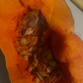 Migros Hemen Al'da Küflü Ve Filizlenmiş Bal Kabağı Gönderildi, İade Süreci İlerlemiyor