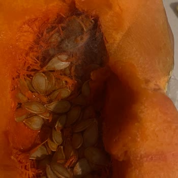 Migros Hemen Al'da Küflü Ve Filizlenmiş Bal Kabağı Gönderildi, İade Süreci İlerlemiyor