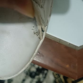 Polo Spor Ayakkabısının Kısa Sürede Yırtılması Ve Mağazanın Değişim Reddine Karşı İade Talebi