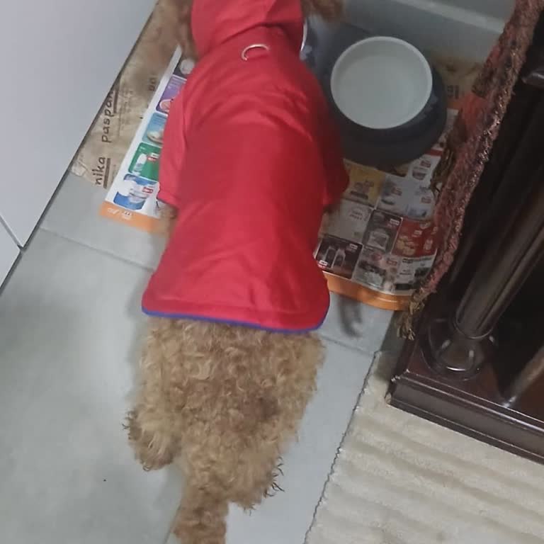 Yanıltıcı Ölçü Bilgisi Ve Çifte Standart İade Reddi