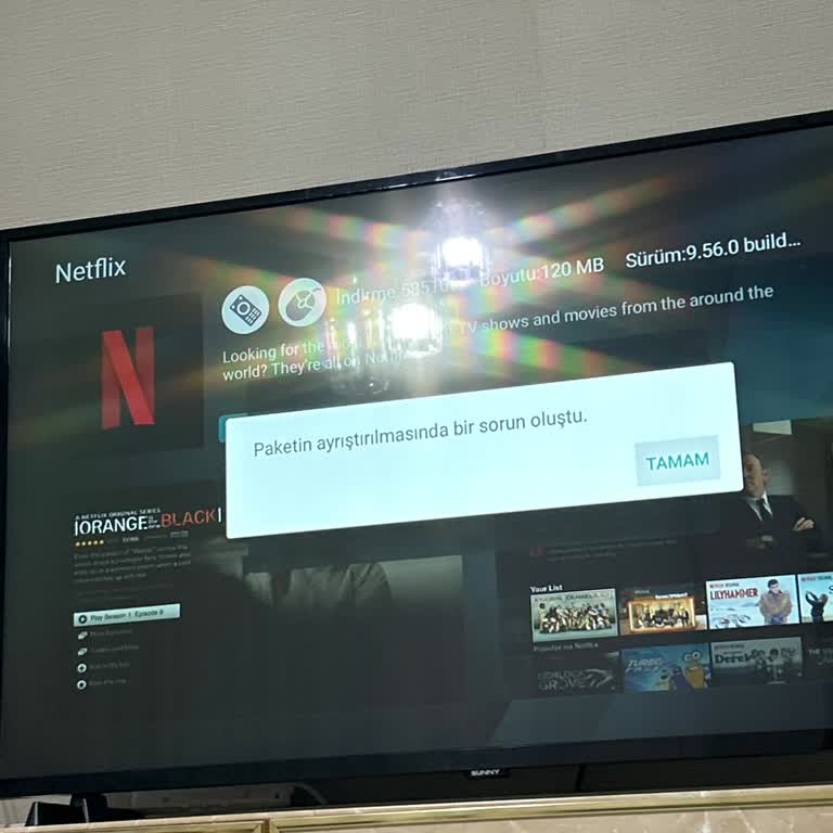 Sunny Televizyonumda Yazılım Güncellemesi Eksikliği Nedeniyle Uygulama Yükleyemiyorum