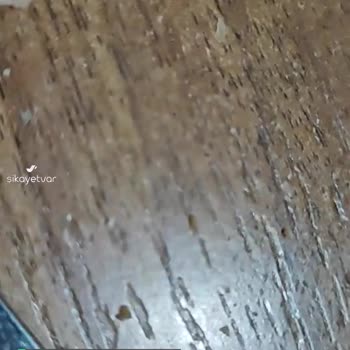 Lezita Aldığım Ürününüzün İçinden Kemik Çıktı Ve Kızımın Dişini Kırdı