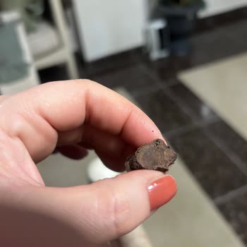 Furpa Market Şubesinde Kahve Dünyası Çikolatasının Küflü Olması