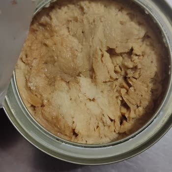 Palandöken Düzgün Market'ten Dardanel Ton Balığı Bozulmuş Ve Çocukları Tehlikeye Atıyor