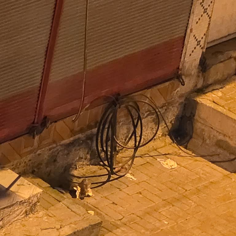 Şanlıurfa Eyyübiye'de Türk Telekom İnternet Kesintisi Ve Ücret İadesi Talebi