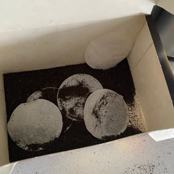 Kapalı Olmayan Lipton Earl Grey Poşetleri Nedeniyle Hijyen Sorunu Ve Ürün Kullanılamazlığı