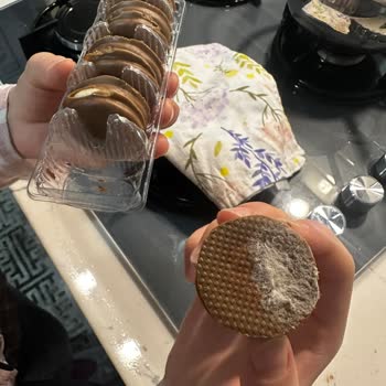 Küflü Luppo Çikolatalı Sandviç Kekte Sağlık Riski Ve Depolama Sorunu