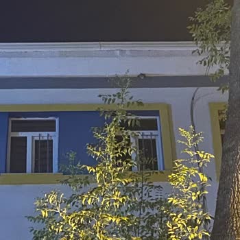 İtfaiyenin Kediyi Kurtarmama Ve Alaycı Tutumu Kabul Edilemez