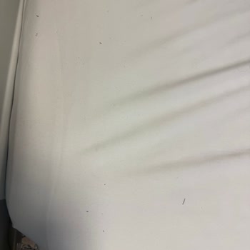 Acil Serviste Kaba Davranış Ve Hijyen Eksikliği