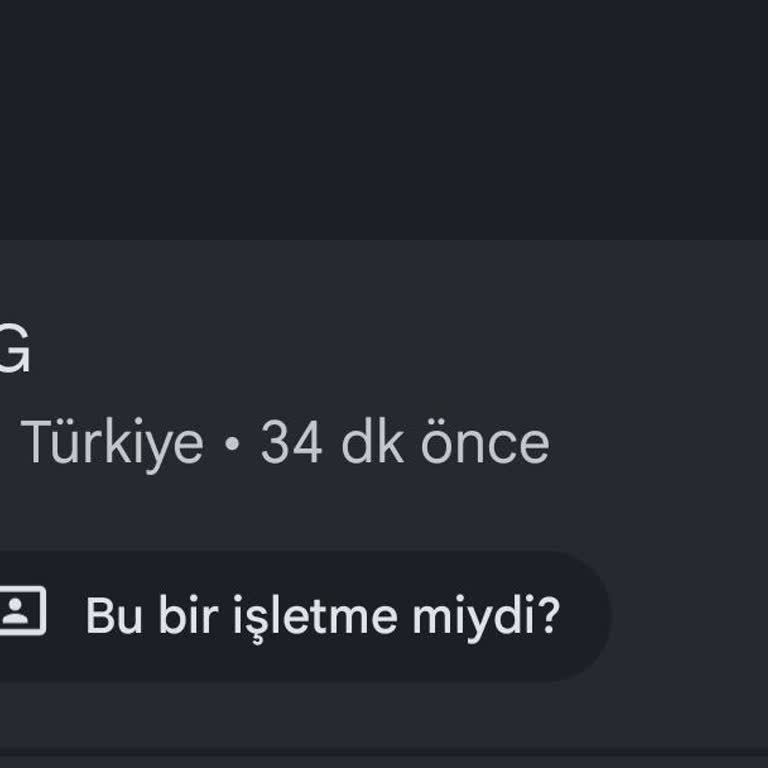 MG ZS EV Sahiplerine Türkiye’de Uzaktan Erişim Engellendi Ayrımcılık İddiası