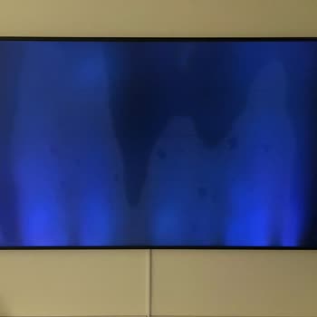 Samsung The Frame 65 İnç TV'de Ekran Arızası Ve Servis İlgisizliği