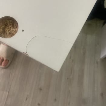 Evidea’da Kırık Kapaklar Ve Cevapsız Müşteri Hizmetleri