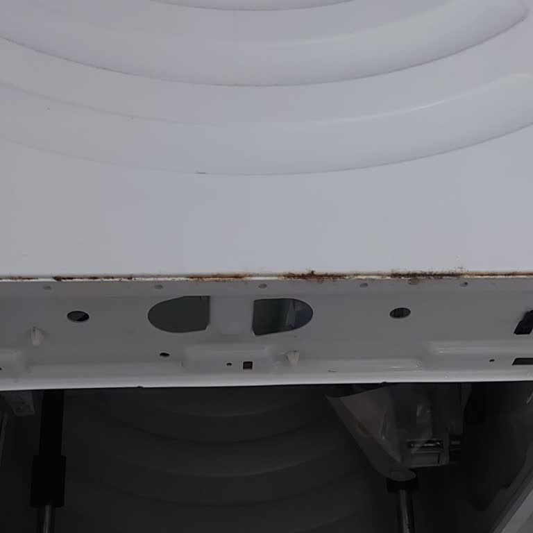 Bosch Çamaşır Makinesinde Kısa Sürede Paslanma Ve Boya Kabarması Garanti Kapsamında Çözüm Bekleniyor
