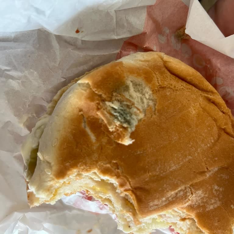 Burger King Şarampol Şubesinde Küflü Ekmek Sorunu Ve Tam İade Talebi