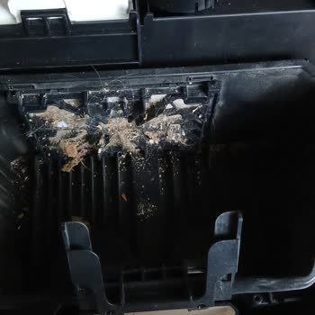 Bosch Yetkili Servisinde Orijinal Toz Torbası Eksik Bırakıldı