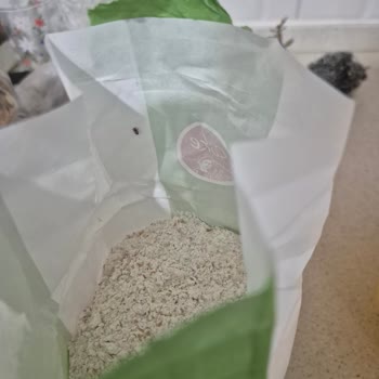 Migros Un Paketi İçinde Canlı Böcek Gıda Güvenliği Şikayeti