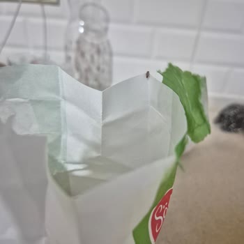 Migros Un Paketi İçinde Canlı Böcek Gıda Güvenliği Şikayeti