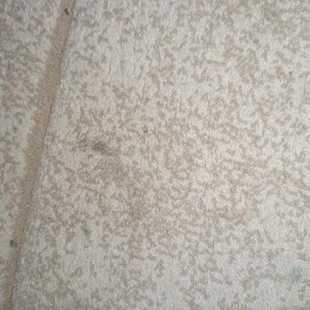 Sembol Halı Yıkama’da Özensiz Yıkama ve Kötü Koku Şikayeti