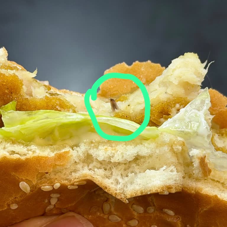 Burger King Bahçelievler Şubesinde Hamburgerde Yabancı Madde Bulundu