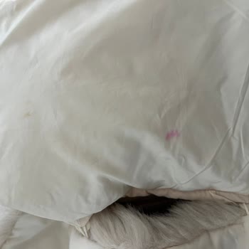 Gardrops’ta Zara Krem Montta Görünür Lekeler İçin İade Talebi Reddedildi