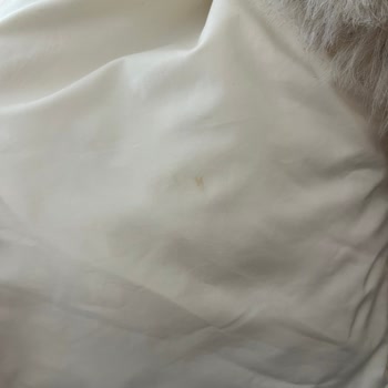 Gardrops’ta Zara Krem Montta Görünür Lekeler İçin İade Talebi Reddedildi