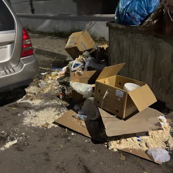 Kars Popeyes Şubesinde Hijyen, Personel Davranışı Ve Sipariş Sistemi Sorunları