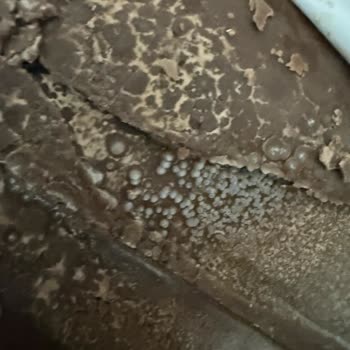 Bozuk Ülker Çikolatalı Gofret Gıda Güvenliği Endişesi
