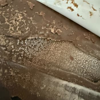 Bozuk Ülker Çikolatalı Gofret Gıda Güvenliği Endişesi