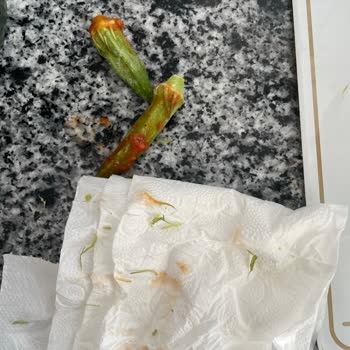 Feast Dondurulmuş Bamya Ürününde Kalite Kontrol Sorunu: Temizlenmemiş Bamyalar