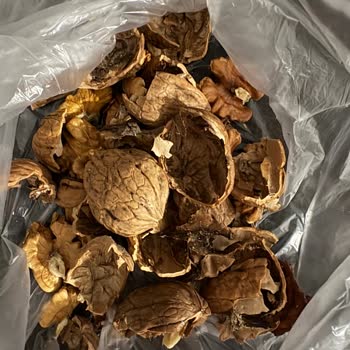 Kurtlu Kabuklu Cevizde Sağlık Riski Ve İade Talebi