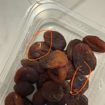 Migros Gün Kurusu Kayısısında Böcek Ve Kurtlar Bulunması Nedeniyle İade Talebi