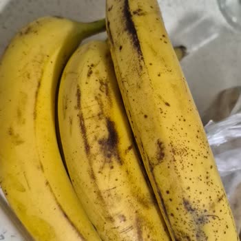 Migros Sanal Market'te Çürük Sebze Ve Meyve Teslimatı Ve Cevapsız Müşteri Hizmetleri