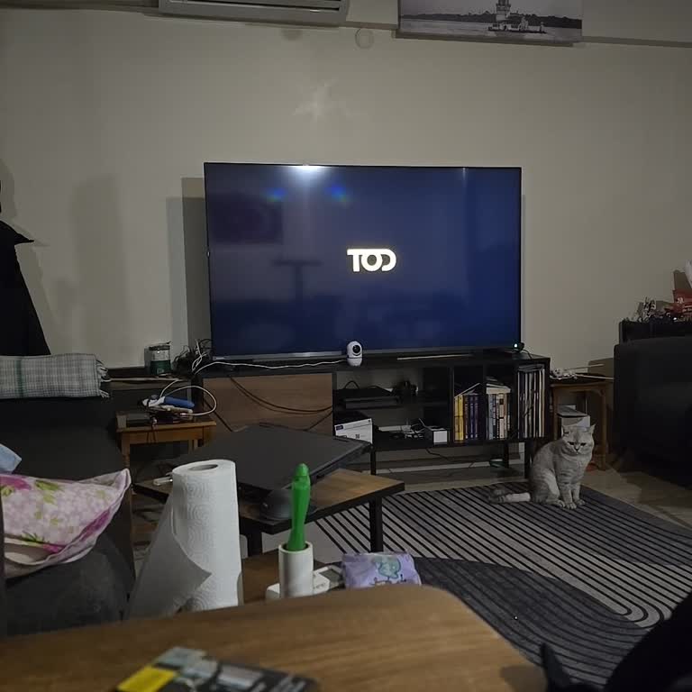 Tod Hesabına Erişimde Yayın Açılmıyor Ve Müşteri Hizmetlerinden Çözüm Yok