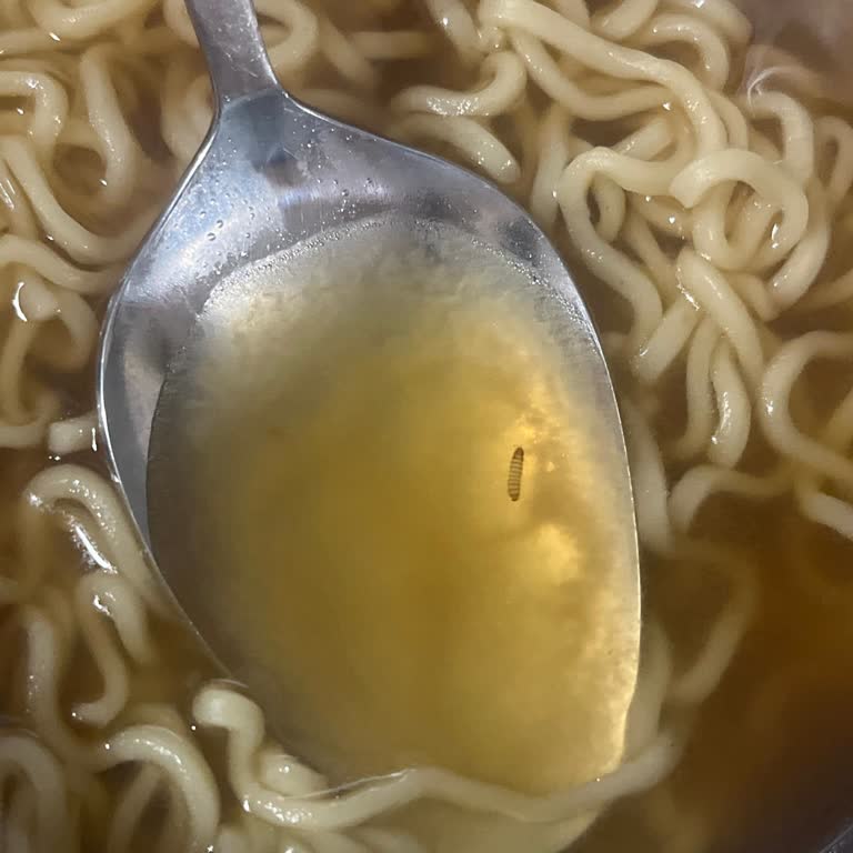 A101'den Aldığım İndomie Noodle’da Kurt Görüldü Hijyen Şikayeti