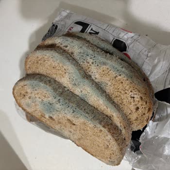 UNO Ekşi Mayalı Tam Buğday Ekmeklerinde Sürekli Küf Sorunu