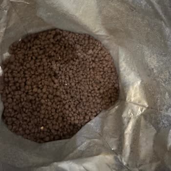 Pazarama Üzerinden Bozuk Kedi Maması İade Reddi Ve Hayvan Sağlığı Tehlikesi