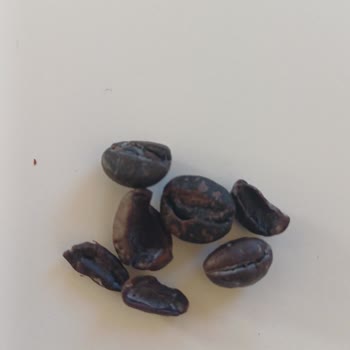 Tchibo Eduscho Espresso Classic Kahve İçin Tarihi Yaklaşan Ve Bozulmuş Ürün İadesi