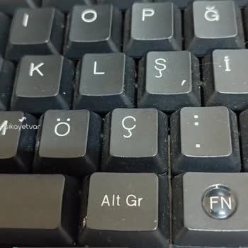 Areka Mint Şekerde Tüylenme