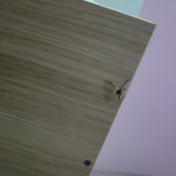 Koçtaş Çalışma Masası Devrildi Ve Çocuk Güvenliğini Tehlikeye Attı