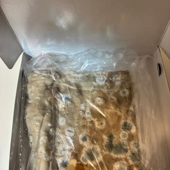 Küflü Katmer Ürünü Satışı Ve Gıda Güvenliği İhlali