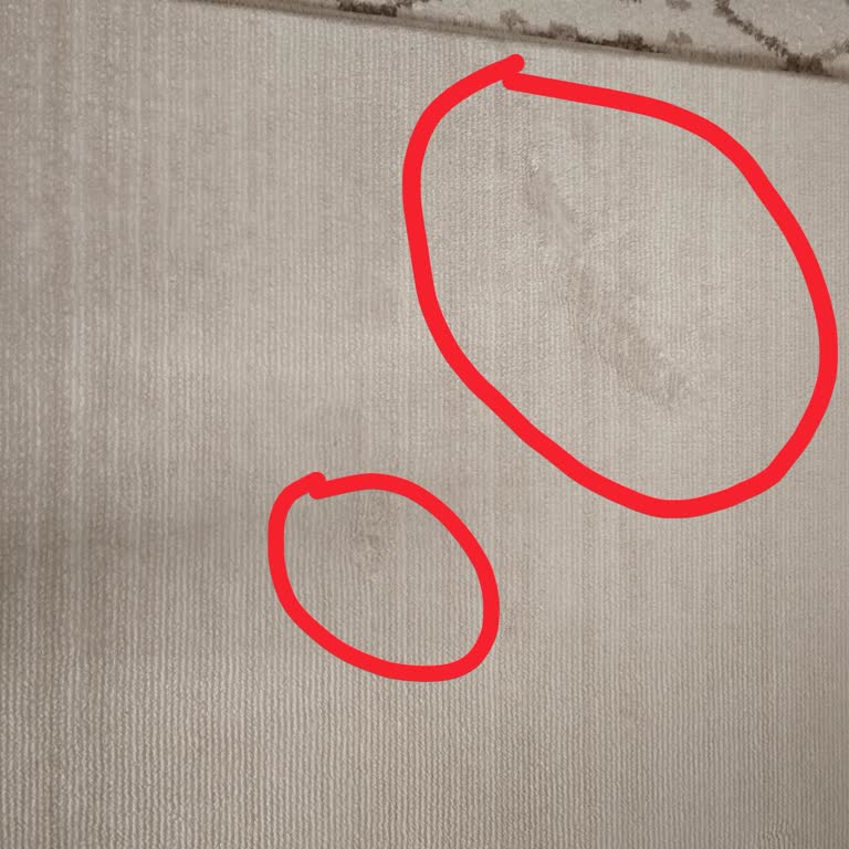 Korkutlar Halı Yıkamada Deforme Halı Teslimi Ve Sorumluluk Reddi