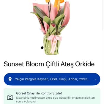 Sunset Bloom Siparişinde Yanıltıcı Görsel, Zorunlu Orkide Ve Tam İade Talebi