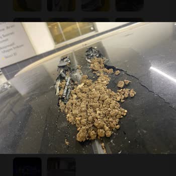Renault Servisinde Emniyet Camı Parça Eksikliği Ve 20 Günlük Araçsız Kalma Mağduru