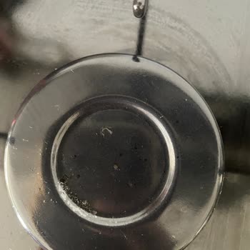 Yeni Kurulmuş Bosch Ankastre Ocakta Renk Atması Ve Garanti Dışı Kararı