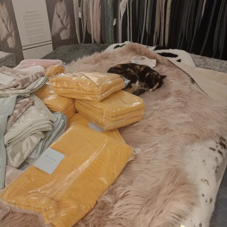 Madame Coco Mağazasında Hijyen Eksikliği Ve Alerji Riski